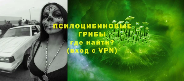 мяу мяу мука Арсеньев